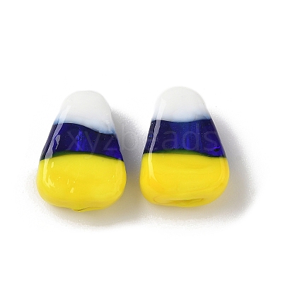 Handmade Lampwork Beads LAMP-Z014-01B-1