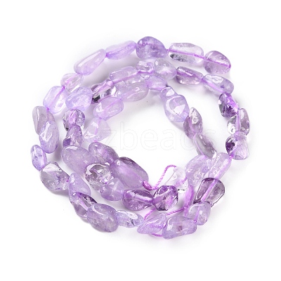 Natural Amethyst(Dyed & Heated) Beads Strands X-G-P497-01C-47-1