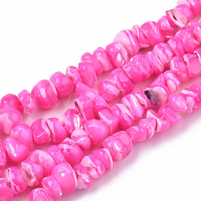 Natural Freshwater Shell Beads Strands SHEL-N003-23-B05-1