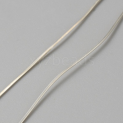 925 Sterling Silver Wires STER-WH0009-03A-1