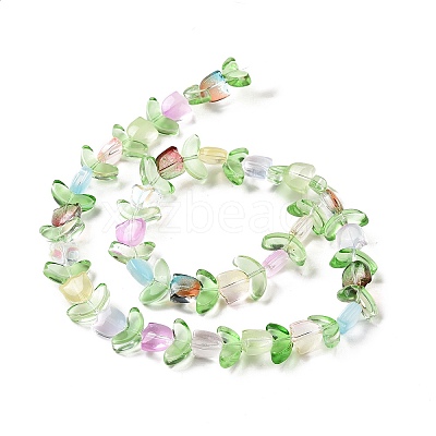 Transparent Glass Beads Strands LAMP-H061-02B-1