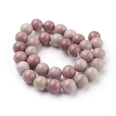 Natural Rhodonite Beads Strands G-G099-10mm-33-1