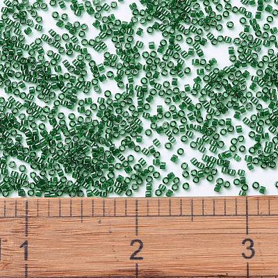 MIYUKI Delica Beads X-SEED-J020-DB1894-1