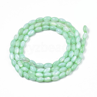Natural Freshwater Shell Beads Strands SHEL-N003-25-B03-1