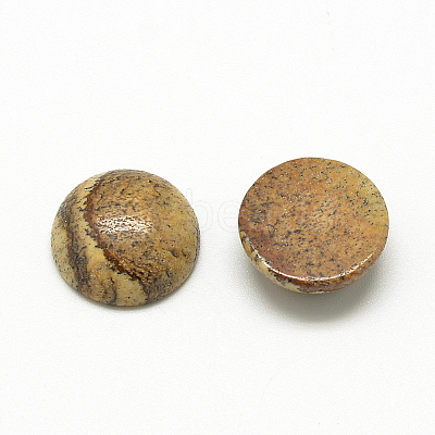 Natural Picture Jasper Cabochons X-G-R416-16mm-42-1