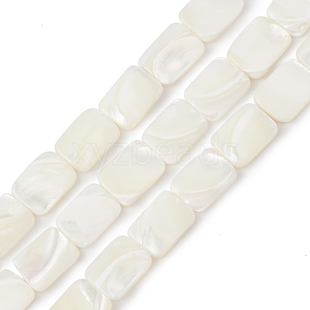 Natural Trochid Shell/Trochus Shell Beads Strands BSHE-G033-01-1