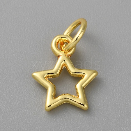 Alloy Pendants FIND-WH0159-63G-12-1