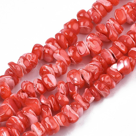 Natural Freshwater Shell Beads Strands SHEL-N003-23-B04-1