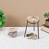 Natural Shell Display Decorations DJEW-WH0042-143D-4