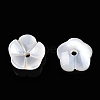 Natural White Shell Beads SSHEL-S260-053-2