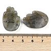 Natural Labradorite Pendants G-K359-03E-3