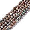 Natural Aqua Terra Jasper Beads Strands G-K317-A02-1