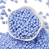 Baking Paint Glass Seed Beads SEED-C003-02B-2