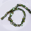 Natural Shell Beads Strands X-PBB050Y-2
