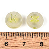 Luminous Frosted Acrylic Beads FACR-T008-02K-4