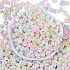 Opaque Colours Luster Glass Seed Beads SEED-P008-01C-13-3