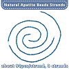 3 Strands Natural Apatite Beads Strands G-OC0003-01-4
