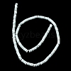 Dyed Synthetic Turquoise Beads Strands G-Z089-A04-C-4
