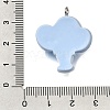 Opaque Resin Pendants RE-CBAA178-01P-3