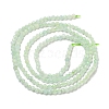 Natural Green Opal Beads Strands G-Z035-A02-01D-5