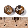 Natural Tiger Eye Beads G-L524-20X-02-3