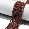 Natural Garnet Beads Strands G-H079-A01-01A-2