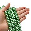 Electroplate Glass Pearl Beads Strands HY-F001-14mm-02-3