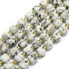 Natural Sesame Jasper Beads Strands G-I376-D61-01-1