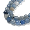 Dyed & Heated Natural Blue Aventurine Beads Strands G-E571-A10-04-4