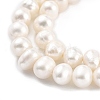 Natural Cultured Freshwater Pearl Beads Strands PEAR-C003-28-2