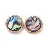 Abalone Shell/Paua Shell Copper Wire Wrapped Flat Round Cabochons PALLOY-JF00418-01-1