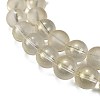 Frosted Transparent Glass Bead Strands GLAA-P065-10mm-01-4