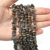 Natural Labradorite Beads Strands X-G-I225-15A-3