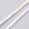 Natural Shell Bead Strands BSHE-P017-03-1