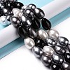 Shell Pearl Bead Strands BSHE-L034-04C-5