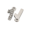 304 Stainless Steel Pendants STAS-L080-002P-01-2