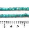 Natural Dolomite Beads Strands G-K350-B01-01B-5