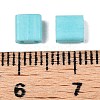 2-Hole Baking Paint Glass Seed Beads SEED-S023-17C-05-4