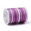 Segment Dyed Polyester Thread NWIR-I013-A-08-2