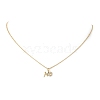 Clear Cubic Zirconia Word No Pendant Necklace NJEW-JN04330-02-1