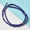 Natural Lapis Lazuli Dyed Beads Strands G-B064-A20-2