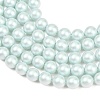 Frosted Glass Pearl Beads Strands GLAA-A044-08A-05-3
