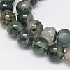 Natural Moss Agate Beads Strands G-F342-02-6mm-1