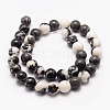 Natural Zebra Jasper Beads Strands X-G-F511-03-8mm-2