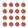 Golden Plated Alloy Enamel Charms ENAM-S118-03G-2