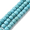 Natural Magnesite Beads Strands G-P598-C01-01A-2