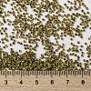 MIYUKI Round Rocailles Beads SEED-G009-RR4512-3