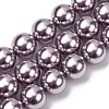 Electroplated Shell Pearl Beads Strands BSHE-G041-14mm-02-1