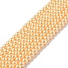 Eco-Friendly Dyed Glass Pearl Round Beads Strands HY-A002-4mm-RB072-1