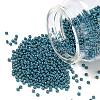 MIYUKI Round Rocailles Beads X-SEED-G007-RR5115-1